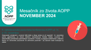 November 2024